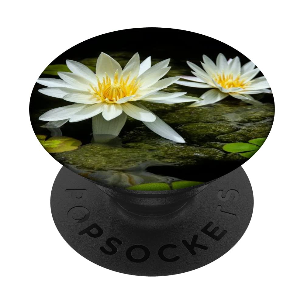 Water Lillies Flower PopSockets Swappable PopGrip