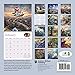 Thomas Kinkade: The Disney Dreams Collection 2016 Wall Calendar