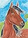 Ravensburger Aquarelle Horses Arts and Crafts Kit