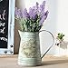 HyFanStr Shabby Chic Rustic Style Metal Jug Pitcher Flower Vase Can