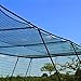 FORTRESS Trapezoid Baseball Batting Cage [Complete Package] - Softball Hitting Cage Net (70ft Cage)