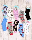 Women's or Teens Dog Breed Socks (10 Pair) Fits Size 9-11 (Yorkie)