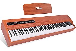 ZHRUNS Digital Piano,88 key Full Weighted Keyboard Piano,Heavy Hammer Keyboard Sustain Pedal, Power Supply, USB Connecting and Audio Input/Output for Beginner & Professional
