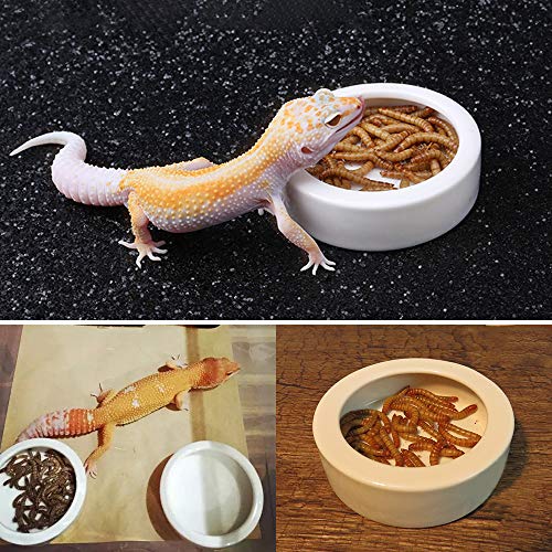 Sobotoo Reptile Food Bowl Worm Dish Mini Reptile Ceramic Water Bowl for Lizard Anoles Bearded