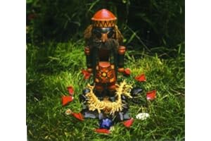 Akron / Family & Angels of Light