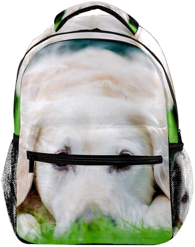 Cute Dog 002 Backpack Full Print MultiPocket Multifunctional