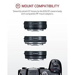 Canon EOS R7 Mirrorless Camera (Body Only), Hybrid