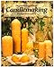 Beginners Guide to Candlemaking by David Constable
