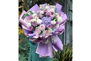 XICHEN 20 Sheets/Double-Sided Colors Flower Wrapping Paper,Waterproof Florist Bouquet Paper,DIY Crafts,Different Double-Sided Colors 58 x 58cm(22.8x 22.8 inch) (Light pink+Cloves purple)