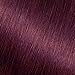 Garnier Nutrisse Ultra Color Nourishing Permanent Hair Color Cream, BR2 Dark Intense Burgundy (1 Kit) Red Hair Dye (Packaging May Vary), 1 Count