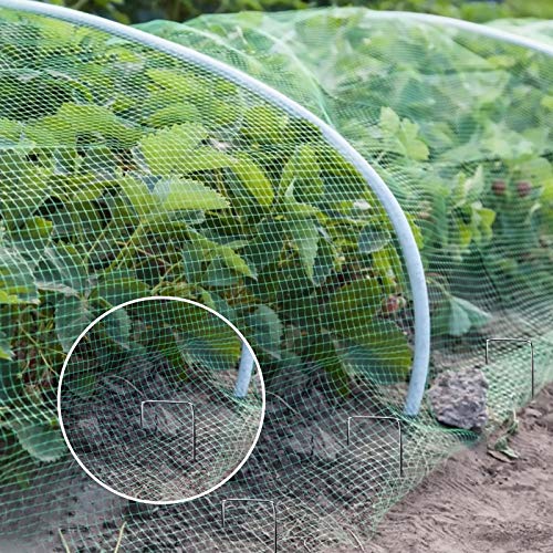 Vogelschutznetz 4 x 10 m Grünes Vogelnetz Teichnetz Baumnetz für Pflanzenschutz Gartennetz Obstbaumnetz Erbsenetz mit 30… – Bild 5