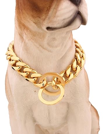 dog necklace for dogs