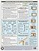 Shear Walls & Sheathing Lateral Loads Quick-Card Based on the 2015 IRC