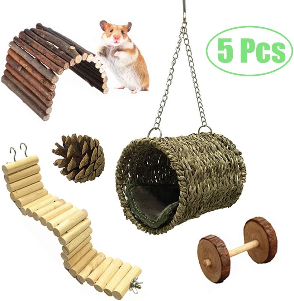 Best suspension bridge with hammock