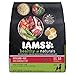 Iams Healthy Naturals Adult with Lamb Plus Rice Premium Dog Dry Food, 12.5-Pound