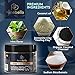 Charcoal Teeth Whitening Powder - Activated Coconut Natural Tooth Whitener Product - Non Abrasive - Safe for Enamel - Fresh Mint Flavor (80ml/2.7 fl oz)
