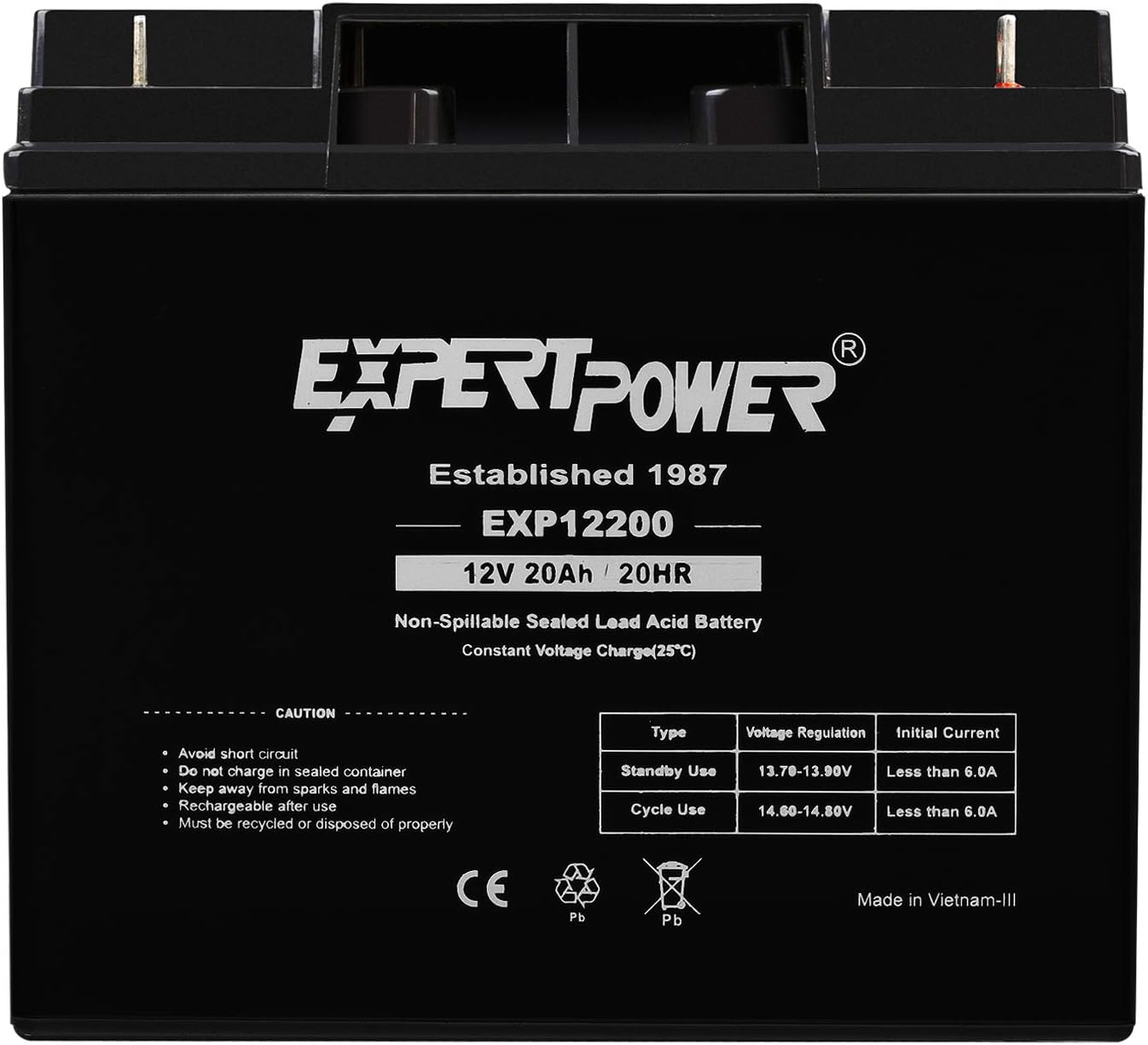 ExpertPower 12 Volt 20 Ah Rechargeable Battery with Threaded Terminals [EXP12200]: Automotive