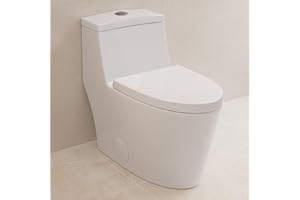 DEERVALLEY Deer Valley Elongated One Piece Toilet with Soft Close Seat, Dual Flush (1.1/1.6GPF) High-Efficiency Modern Bathroom Toilet Bowl with 17" Comfortable ADA Seat Height, 12" Rough-In, White, F52636-01