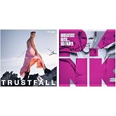Pink - Greatest Hits...So Far!!! - Pink - TRUSTFALL