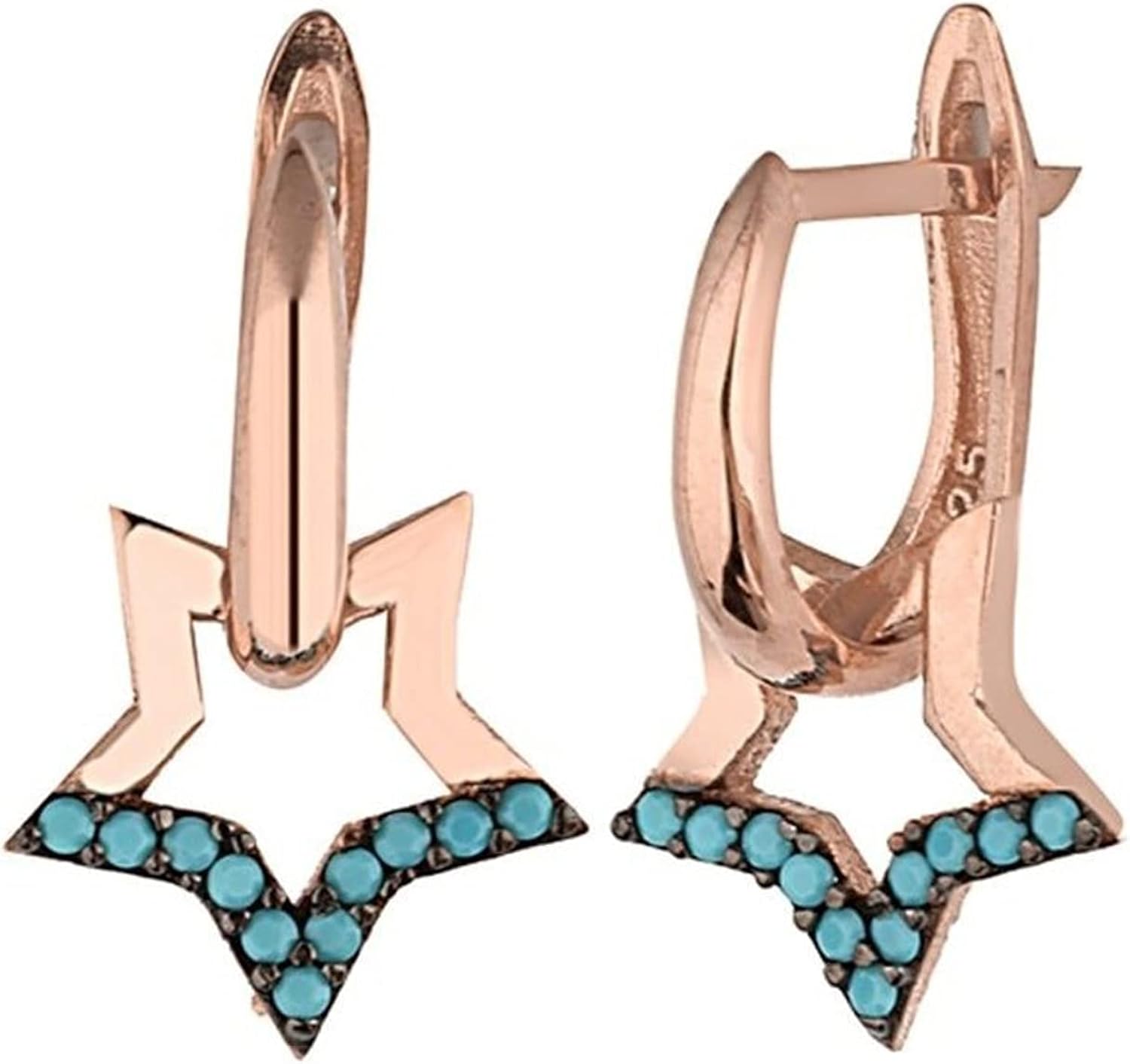 encased elegance silver earring