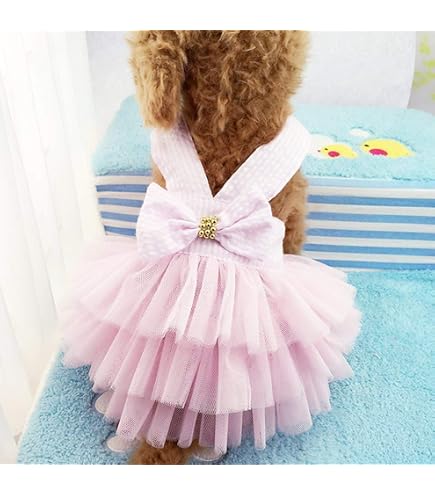 Amazon.com : Dog in the Closet, Black Tutu Dress : Pet Supplies