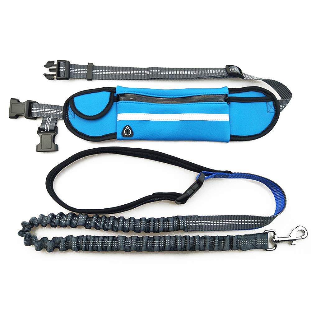 VOANZO Dog Leash, Polyester Pet Leash Detachable with Waist Pack, Suitable for Sports Running and walking (blue)