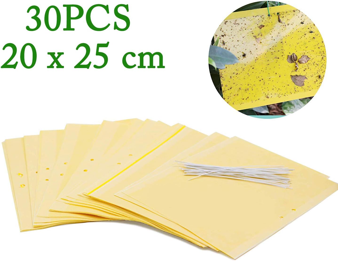 esca per lui feromone