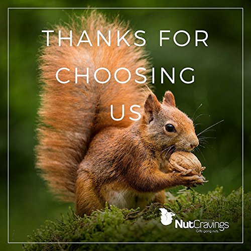 6 Nut+Cravings+4+Sectional+Delicious+Thanksgiving