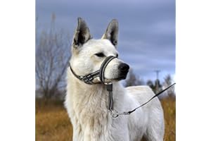 Candofly Dog Head Collar - Adjustable Dog Head Halter No Pull Dog Harness - Soft Padded Headcollar with Safety Reflective Strap - Effective Dog Training Tools for Easier Walks (Medium, Black)