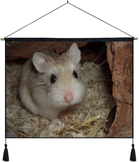 Amazon Co Jp 綿の麻 タペストリー 多機能 掛け軸 掛け物 横 65cmx45cm ハウスおがくずミンクハムスター 個性 掛け軸 掛け物 掛けじく ポスター インテリア 組立式 部屋飾り壁 壁飾り ホーム キッチン