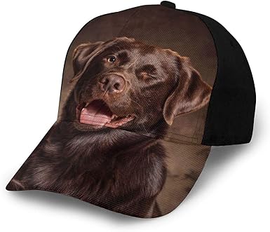 black dog cap
