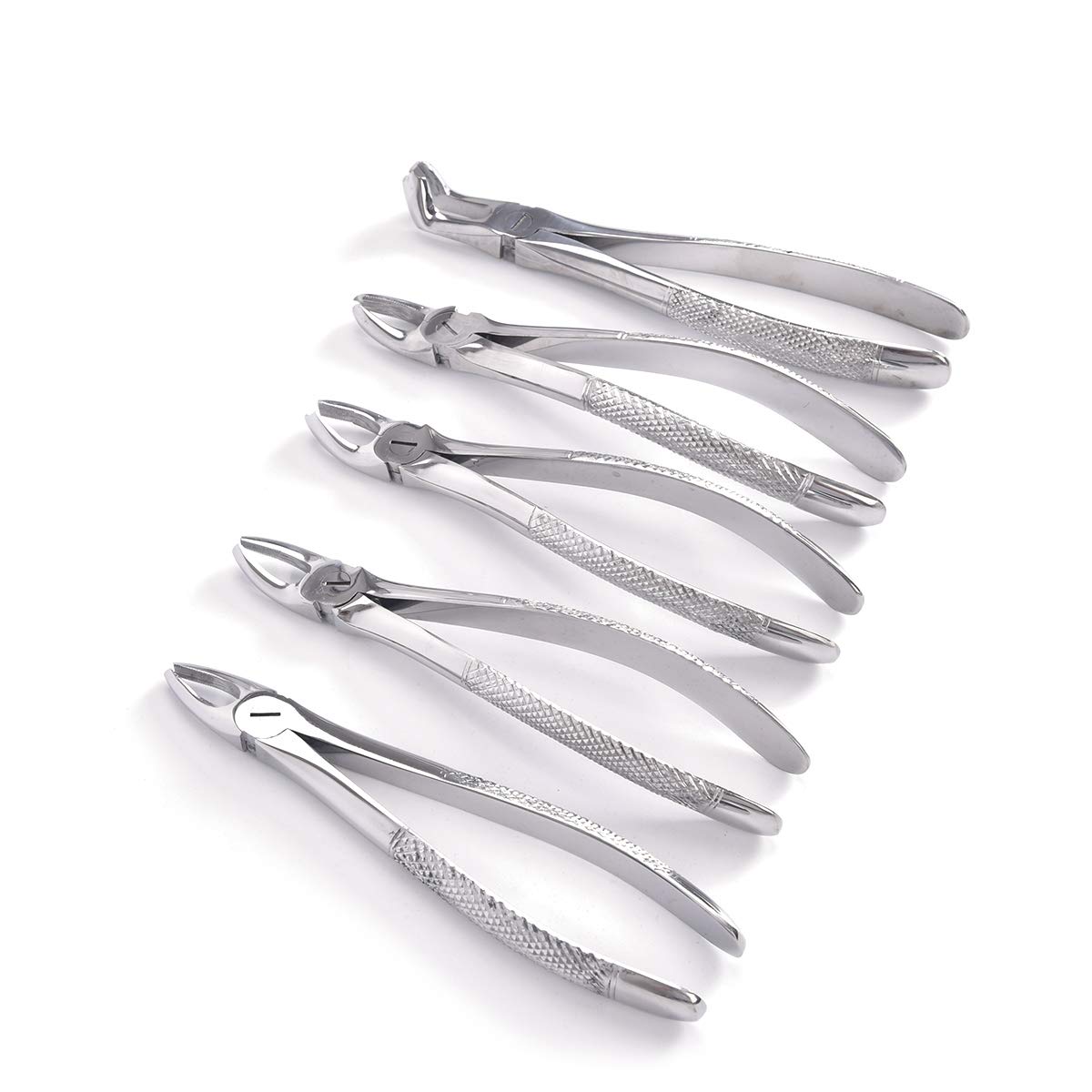 Annhua Dental Professional Extraction Forceps Kit Of 10PCS, Tooth