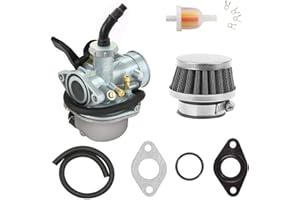 DKIIGAME PZ19 Carburetor for TaoTao Kazuma Baja 70cc 90cc 110cc 125cc NST SunL Chinese Quad 4 Stroke ATV Go Kart Pit Dirt Bike CRF50F XL75 CRF80F XR50R with Air Fuel Filter