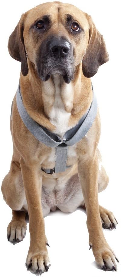 Dingo Guard Harness for Dog Strong Material Handmade Sternum Adjustment Grey 94651 - Image 3