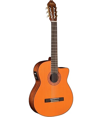 Amazon.com: Washburn EA12B-A Festive Series Mini Jumbo Cutaway