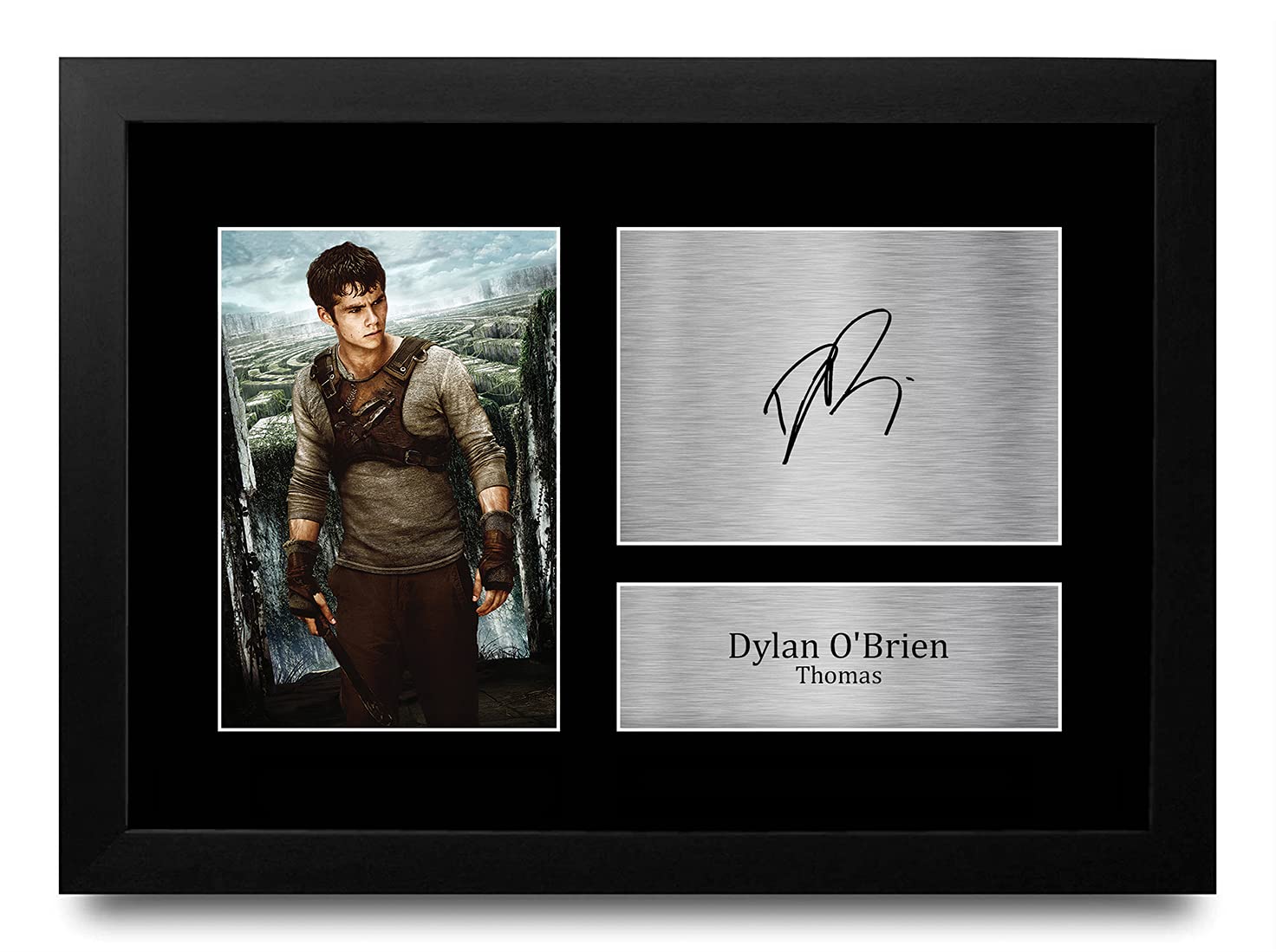 HWC Trading FR A4 Dylan O'Brien Maze Runner Gifts Printed Signed Autograph Picture for Movie Memorabilia Fans - A4 Framed