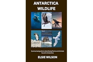 Antarctica Wildlife: Guide to Identifying Wildlife found in Antarctica