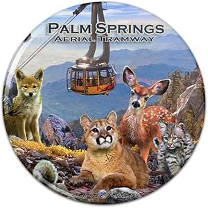 Amazon.com: Palm Springs Aerial Tramway California CA Animals Cougar