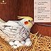 SunGrow Coconut Fiber, 1.5-Ounce, Comfortable Bedding for Small Birds and Animals, Nest Material, Great for Nest Building and Hideouts