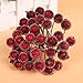 Fashionclubs Christmas Tree Artificial Fruit Holly Berry Pick On Wire Stems for Embellishing Crafting and Decorating Pack of 20 (Wine Red)