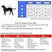 Derby Originals Horse Tough 600D Ripstop Waterproof Winter Dog Coat 150g Medium Weight