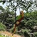 Hanging Parrot Statue Sculpture On Metal Round Ring Decor for Patio Garden Lawn and Nature Lovers Tropical Bird Collectors by Gifts