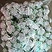 100 Pure White Mulberry Roses 10 - 15 mm. Paper Flowers Scrapbooking Embellishment
