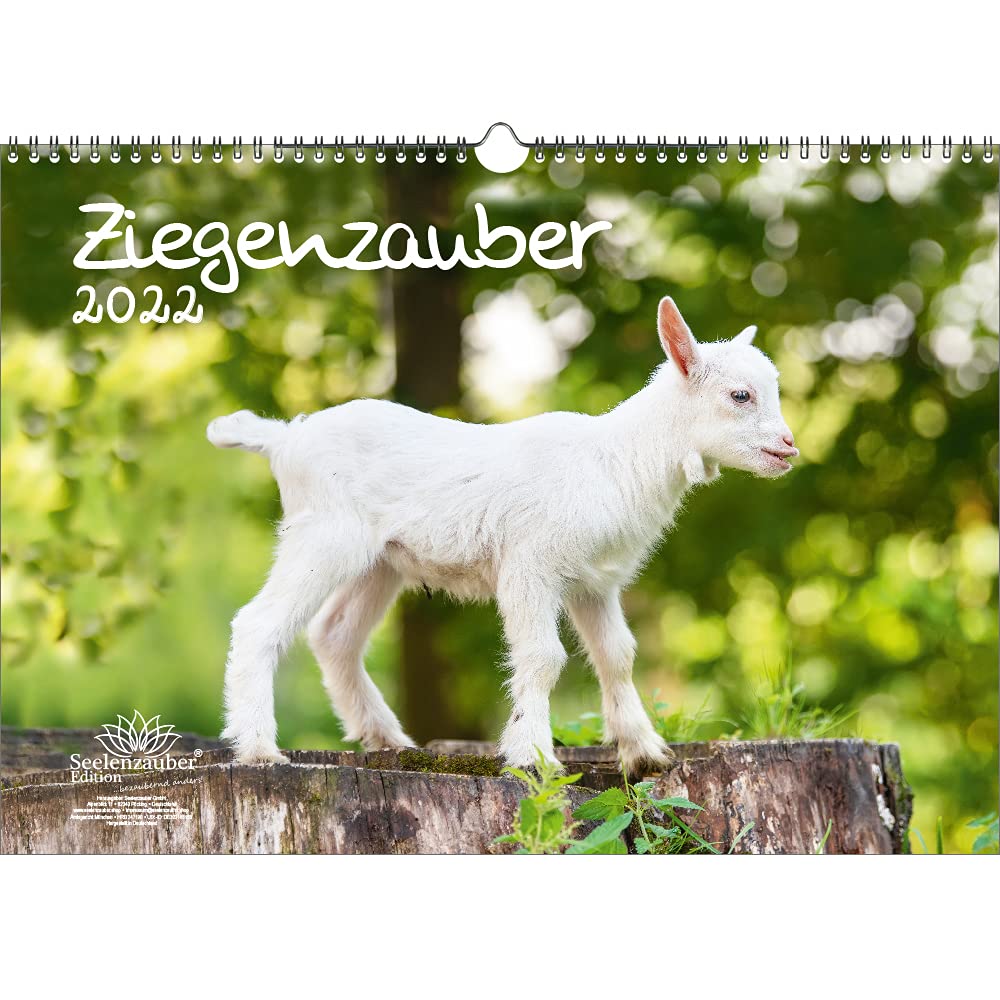 Ziegenzauber DIN A3 Calendar for 2022 Goats and Kids Seelenzauber