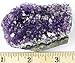 Amethyst Crystal Clusters Rocks (6 pc), each measures approx 2-2.5 inches, BONUS: Rock & Mineral Book and Educational Information ID card included! Druzy, Bulk, Healing, Reiki, Chakra, Dancing Bear