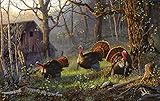 Kings of The Hill 550 pc Jigsaw Puzzle