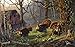 Kings of The Hill 550 pc Jigsaw Puzzle