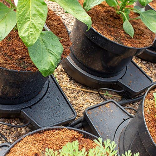 Sistema de riego automático de 2 plantas GoGro Essential ...