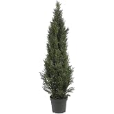 Nearly Natural 5 ft Artificial Mini Cedar Pine Tree Indoor Outdoor Decor | Weather-Ready Foliage, 1565 Lifelike Leaves, Chris