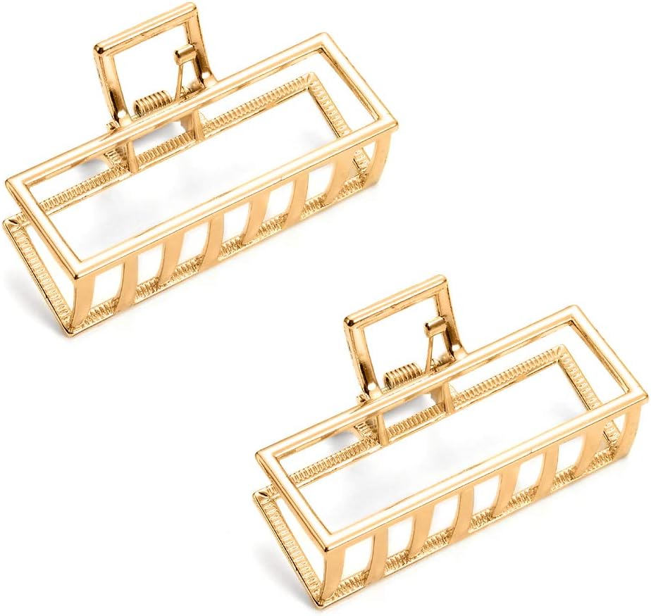 JINXM 2Pcs Hair Clips Metal Claw Clips Hollow Non-slip Hair Catch Jaw Clamp for Women Girls